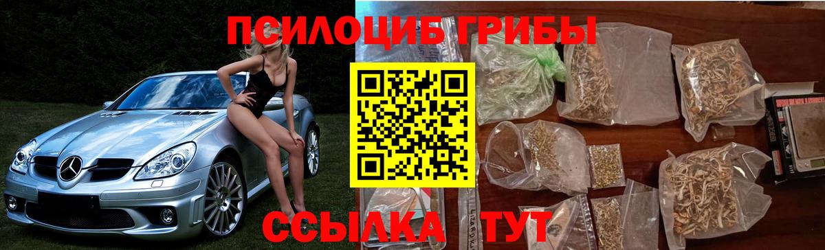 Галлюциногенные грибы MAGIC MUSHROOMS  Галлюциногенные грибы Cubensis  Тихорецк  Вход с VPN 